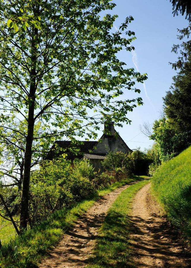 Le Bourmier Anlhiac Near Excideuil Villa Kültér fotó