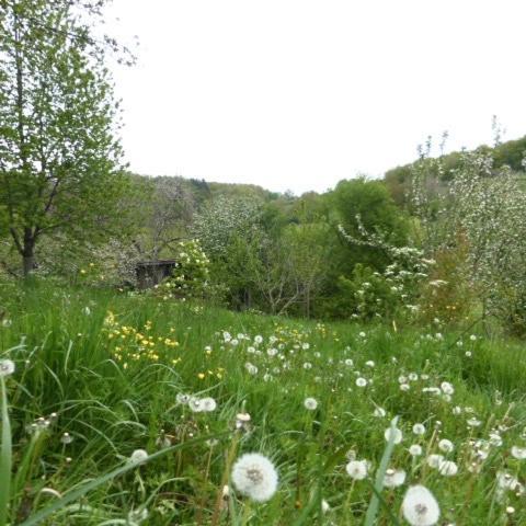 Le Bourmier Anlhiac Near Excideuil Villa Kültér fotó